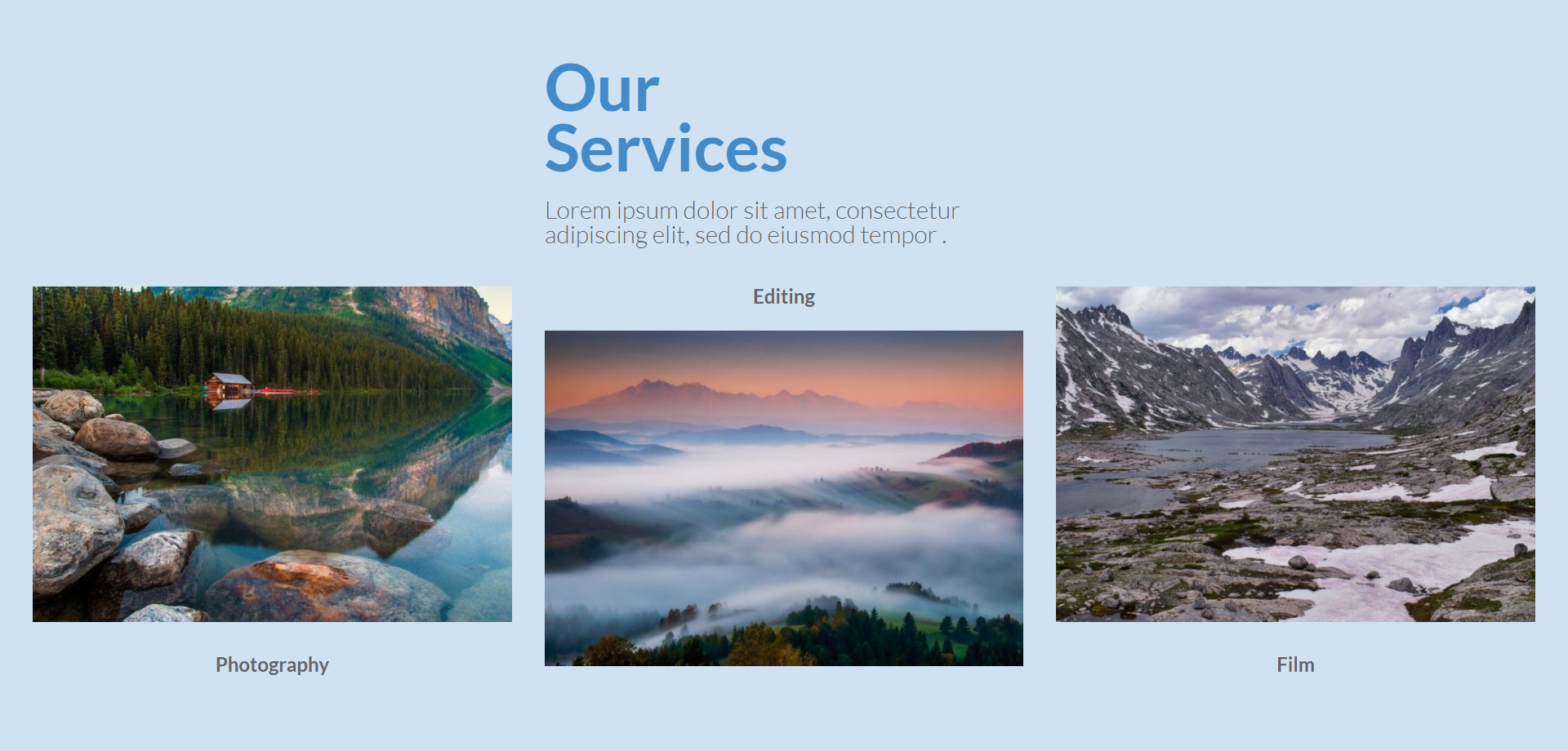 Our Services Section